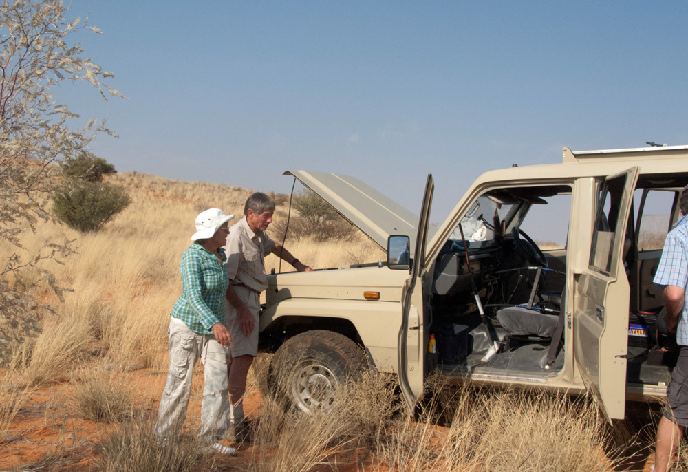 Cheetah researchers Gus and Margie Mills, Kgalagadi Transfrontier Park