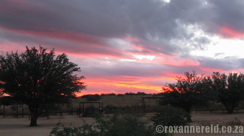 Sunrise at Nossob, Kgalagadi Transfrontier Park