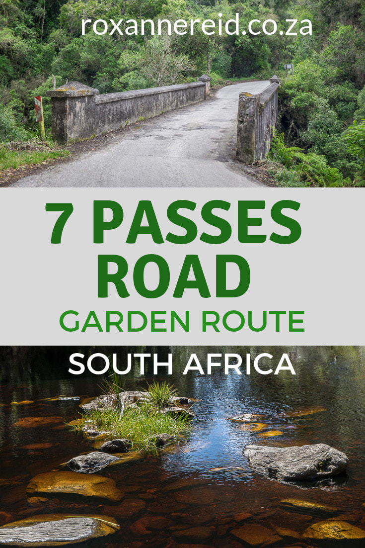 The Seven Passes road between George and Knysna on the Garden Route is a must-do drive, among the most beautiful mountain passes in South Africa. #mountainpasses #SouthAfrica #Africatravel #SevenPasses #GardenRoute #WoodvilleBigTree