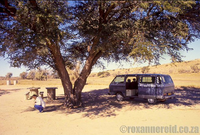 Kamqua picnic site, Kgalagadi Transfrontier Park