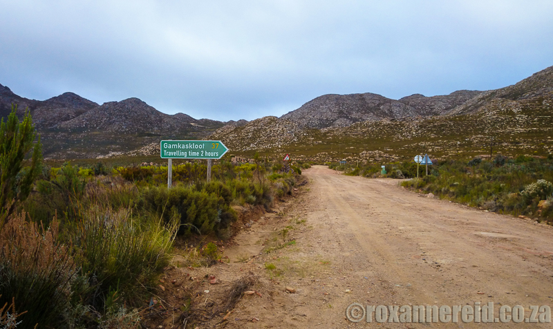 Swartberg Pass, Karoo