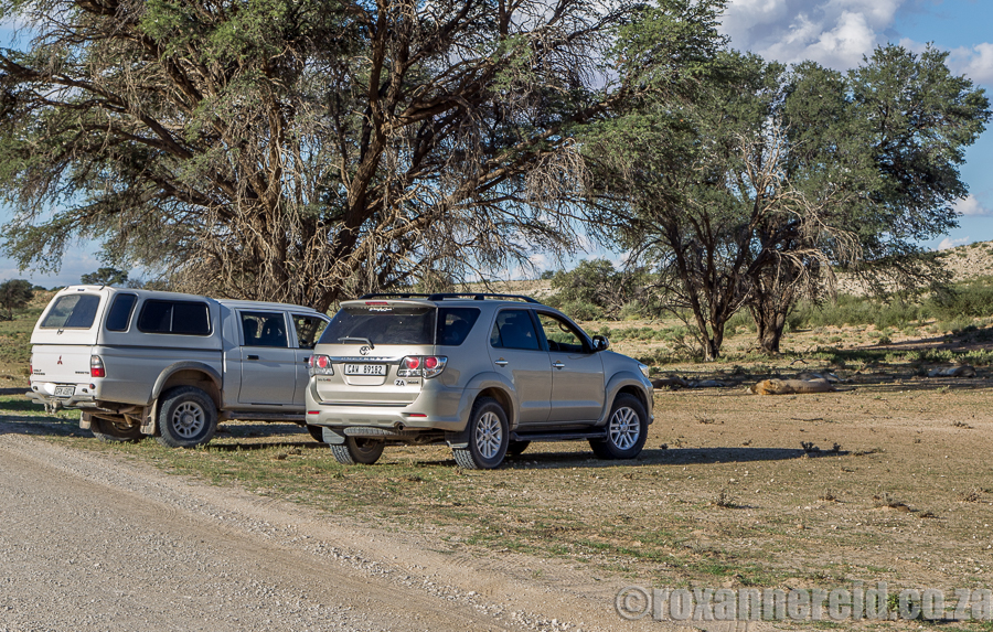 Going offroad in the Kgalagadi