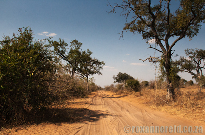 Sandy roads, Chobe National Park, Botswana