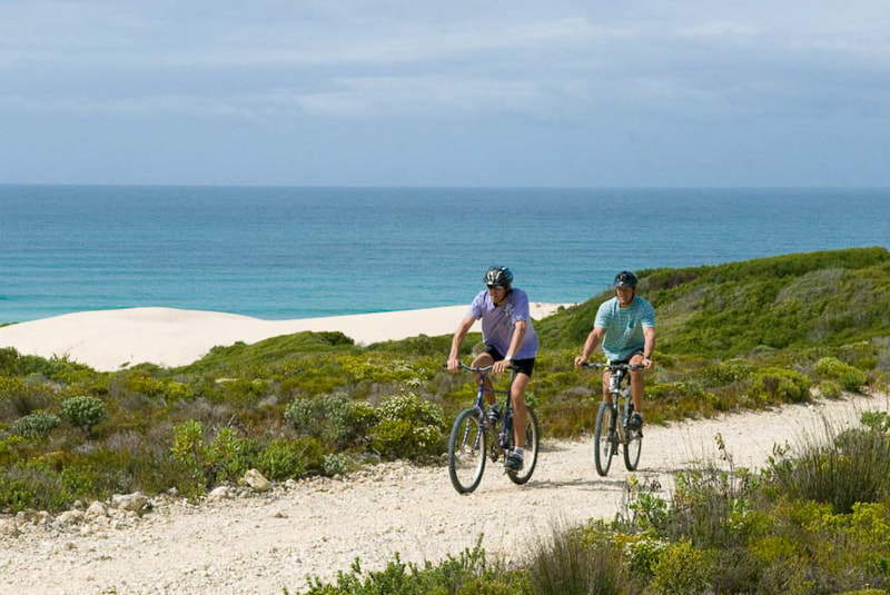 Things to do at De Hoop Nature Reserve: mountain biking