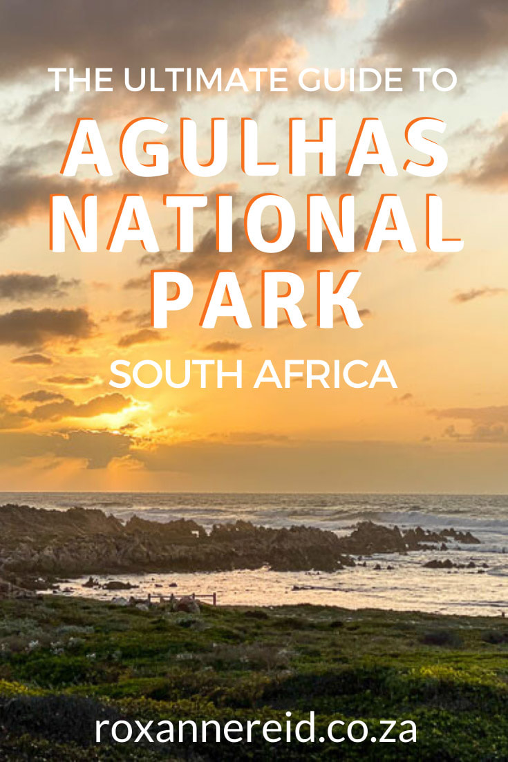 Planning a visit to Agulhas National Park in South Africa? Here’s everything you need to know, from how to get there, best time to visit, Agulhas accommodation and things to do at Cape Agulhas. Visit the Cape Agulhas lighthouse and the Southern tip of Africa monument, see the Meisho Maru wreck, go hiking, bird watching, whale watching and more.