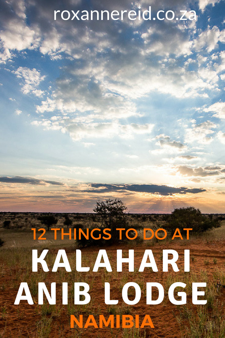 12 things to do at Kalahari Anib Lodge near Mariental in the Kalahari Namibia. Explore this Kalahari accommodation, one of the lodges near Mariental. Find lots to do from stargazing, walking trails, guided walks, guided 4x4 drives and sunset drives to ebiking, swimming, good food and sundowners. Mariental lodge, Namibian holidays, Kalahari activiites, Kalahari lodge, Kalahari Namibia accommodation #Kalahari #Namibia #KalahariNamibia #KalahariAnibLodge