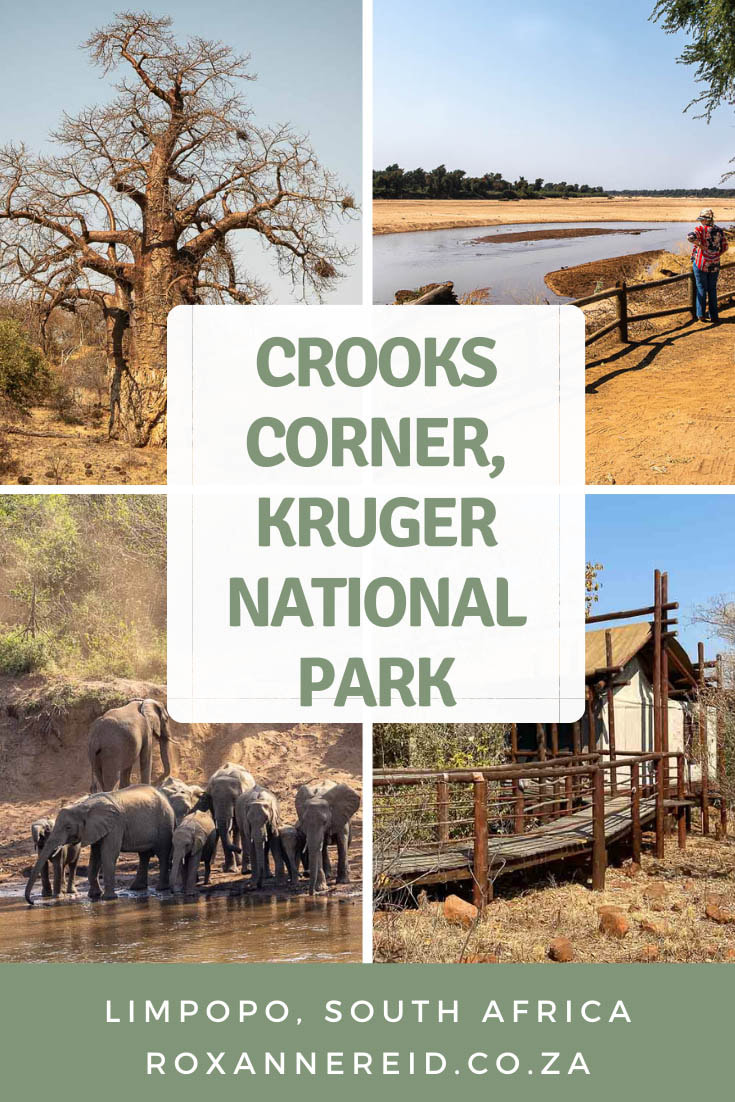Visiting Kruger National Park? If you’re in the north, don’t miss a visit to Crooks Corner, Kruger National Park. Find out about its infamous backstory as well as other things to do in the area, like visiting Pafuri picnic site, going for a game drive or hiking the 3-night Nyalaland Wilderness Trail. There are also tips on where to stay in the far north of Kruger Park, from Punda Maria camp to Pafrui Border camp. #safari