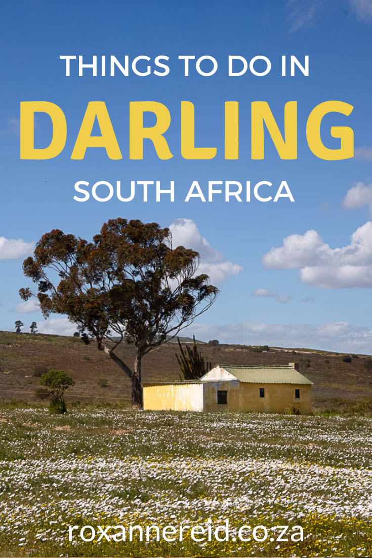 Planning to visit Darling on the West Coast? Find out the best time to visit Darling and the best things to do there, from spring flowers and olive tasting to Darling wine tasting and craft beer. Discover which Darling restaurants to visit, why to visit Evita se Perron and where to stay in Darling accommodation. There are suggestions for what to do in the wider area too.