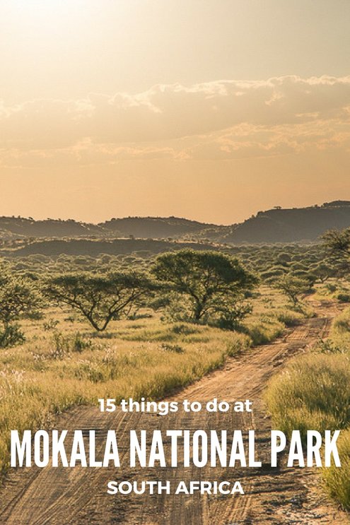 15 things to do at Mokala National Park, Northern Cape #SouthAfrica #travel #nationalparks