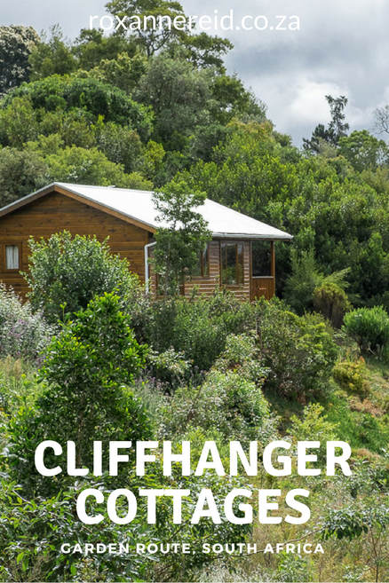 Cliffhanger cottages near Knysna on the Garden Route, South Africa #Knysna #GardenRoute #SouthAfrica