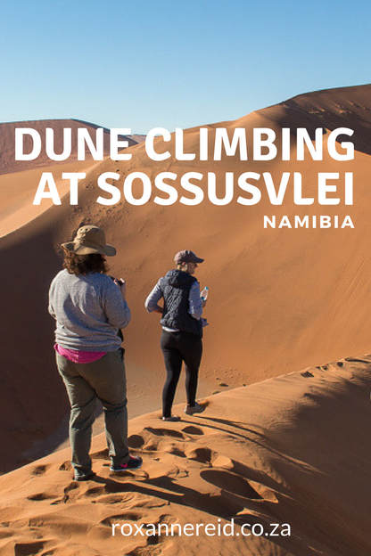 Climbing the dunes at Sossusvlei #Namibia #travel #Africa #Sossusvlei