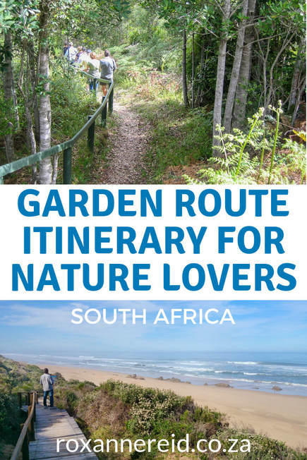 Do you get a kick from nature? You’ll love this Garden Route itinerary for nature lovers, showing highlights of the Garden Route, nature things to do on the Garden Route in Wilderness, Knysna, Tsitsikamma and the Garden Route Natiional Park, South Africa. Pin this Garden Route South Africa itinerary for later. #gardenroute #southafrica #nature #gardenroutehighlights #gardenRouteitinerary
