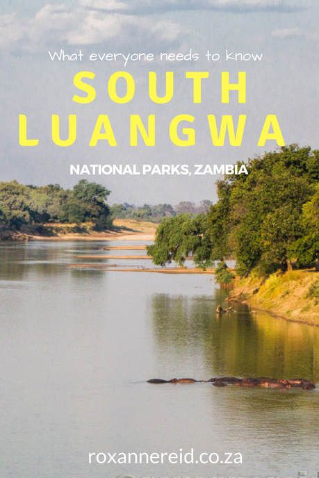 What everyone needs to know about South Luangwa National Park, Zambia #africa #travel #safari
