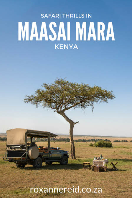 Safari thrills at Mara Expedition Camp, Maasai Mara, Kenya
