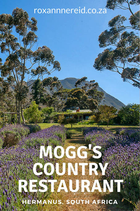 Mogg's Country Cookhouse, Hermanus, South Africa #Hermanus #travel #restaurant #SouthAfrica