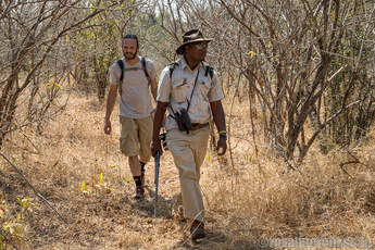 Walking safari at Sapi and Mana Pools Zimbabwe