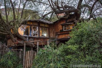 Baviaanskloof accommodation: Speekhout tree house 