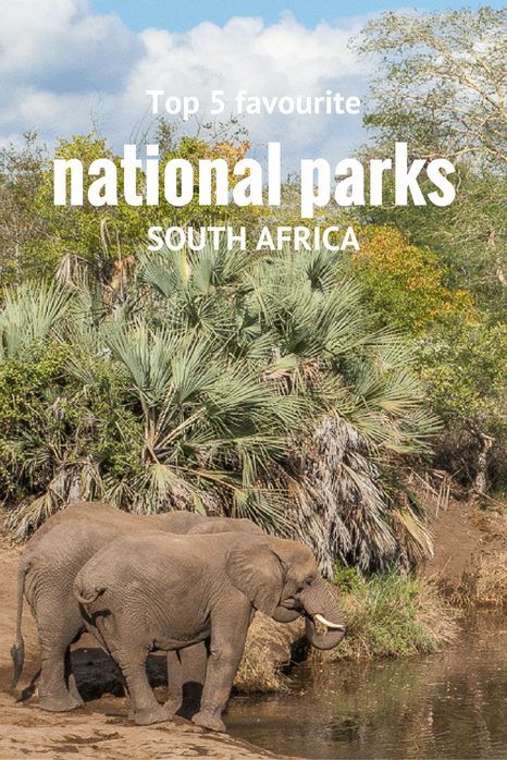 Top 5 favourite national parks in #SouthAfrica #nationalparks #travel #safari #wildlife