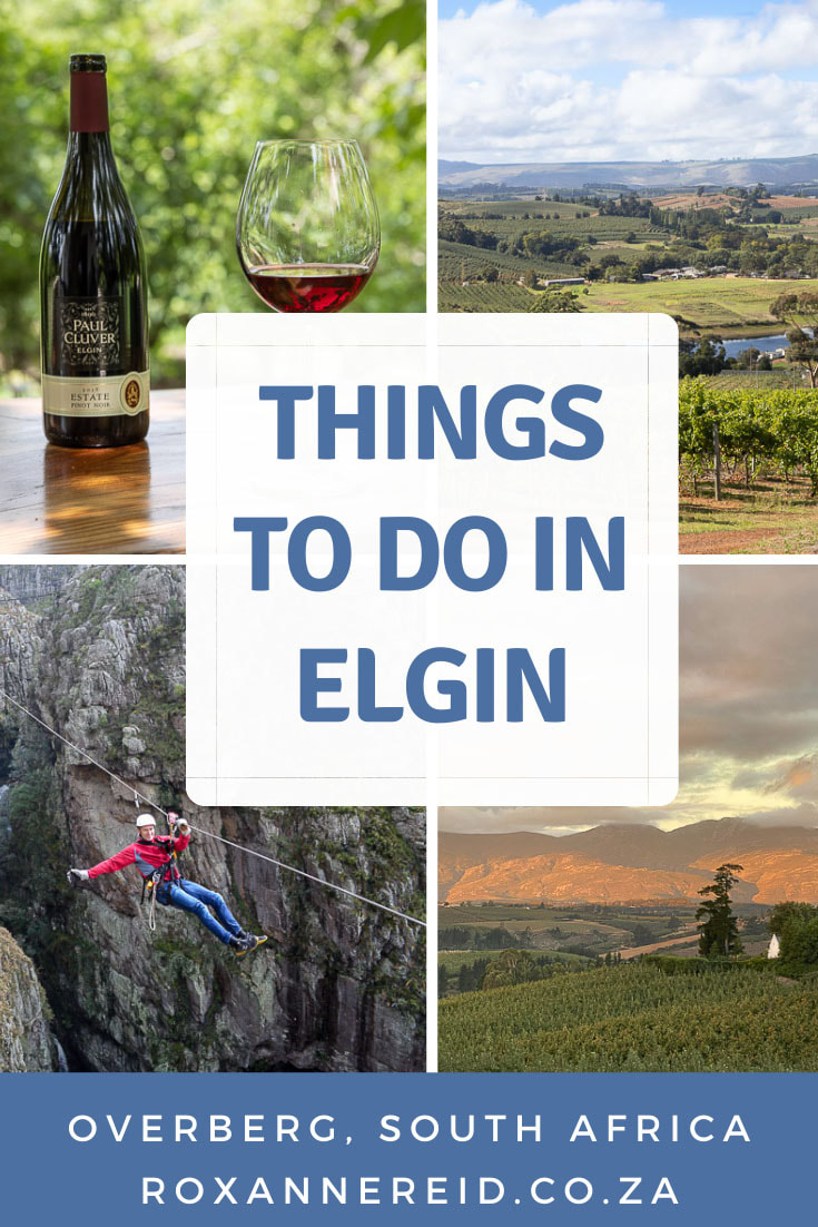Visiting Elgin in the Overberg an hour’s drive from Cape Town? Find out the best things to do in Elgin, from Elgin wine farms, nature reserves, the Cape Canopy Tour, the Elgin Railway Market, Elgin farm stalls like Peregrine Farm Stall and Houw Hoek Farm Stall, Elgin mtb and Elgin hiking trails. Discover some Elgin restaurants, go brandy tasting, visit the Elgin Open Gardens and see roses, visit unusual bookstores, explore the Kogelberg Biosphere Reserve. There’s a wide range of places for your Elgin accommodation.