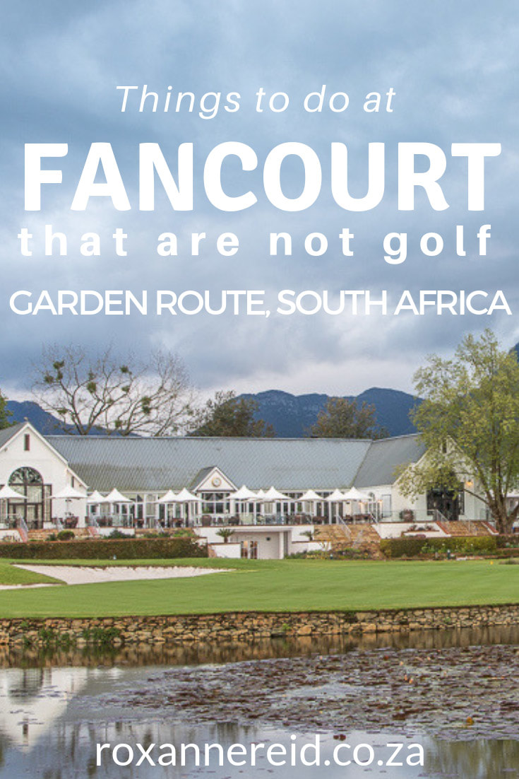 When you hear the word Fancourt you think of golf. And Fancourt golf is famous for its three top-rated golf courses. But there are other things to do at Fancourt Hotel in George on the Garden Route, South Africa. Think walking, cycling, Roman baths, spa, gym, swimming, Fancourt restaurants like Henry White’s. Further afield are mountain passes, wine-tasting, strawberry-picking, Cango Caves, Oudtshoorn and more. #Fancourt #FancourtHotel #Fancourtgolf #FancourtHotelGeorge #Georgeaccommodation