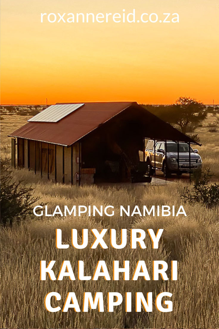 Planning a visit to Namibia? Don’t miss the red sands of the Kalahari Desert. Go self-catering glamping Namibia – luxuryKalahari camping – near Mariental or at one of The Gondwana Collection’s four other Camping2Go glamping camps. Everything is provided for you; just bring your food and clothes. Go for a nature drive, e-biking, hiking, birding, stargazing, swimming and enjoy sundowners. Or just relax and drink in the Kalahari vibe. 