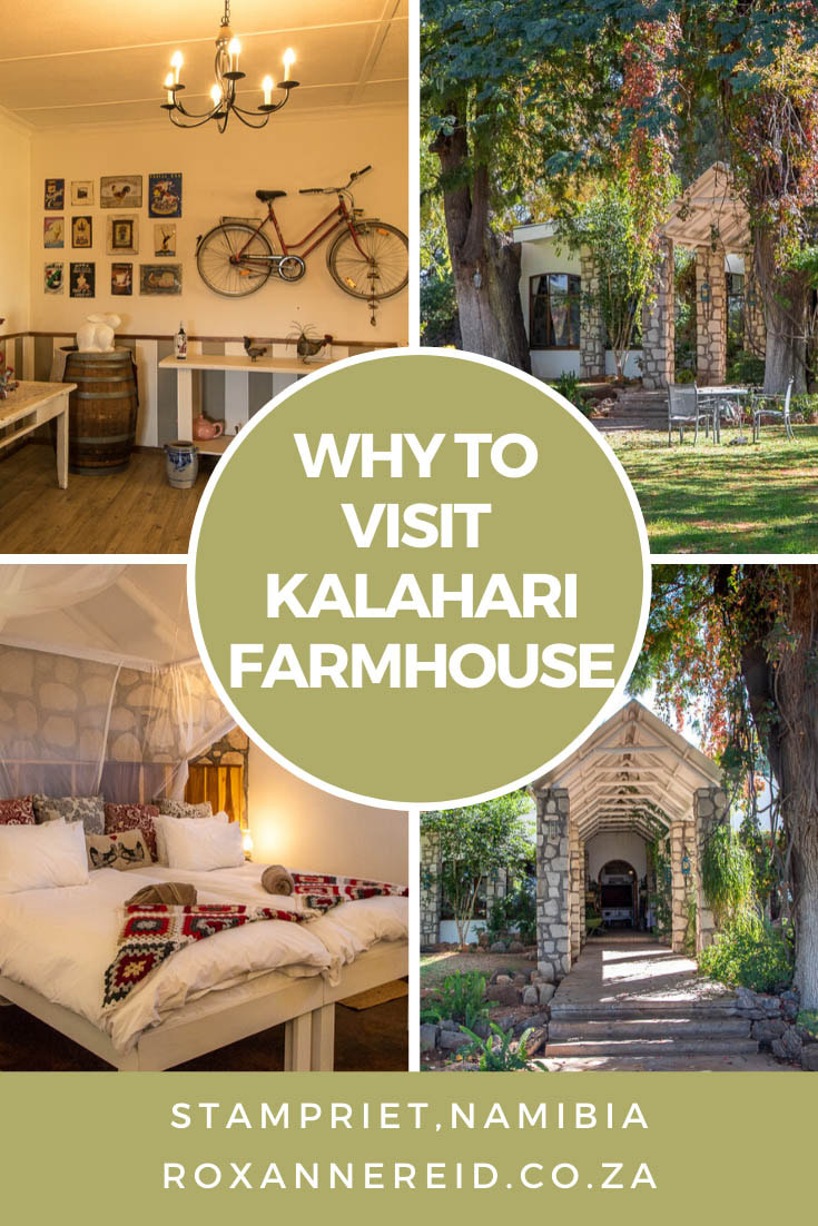 Visit Kalahari Farmhouse in the Kalahari of south-east Namibia and discover a Stampriet lodge with a self sufficiency centre and a farm-to-fork ethos. Relax, enjoy the gardens, go birdwatching, for a nature drive or walking trail, swim in the pool, go stargazing, enjoy good food. #Namibialodges #KalahariNamibia #Kalaharilodge #Kalahariaccommodation #Stamprietaccommodation #KalahariFarmhouse #Stamprietlodges #Stampriet #Namibiaholidays #KalaharilodgesNamibia #Namibia #kalahari