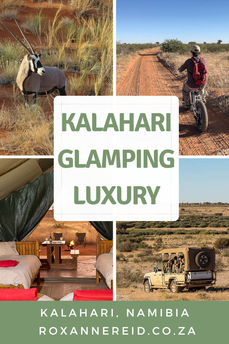 Planning a visit to Namibia? Don’t miss the red sands of the Kalahari Desert. Go self-catering glamping Namibia – luxuryKalahari camping – near Mariental or at one of The Gondwana Collection’s four other Camping2Go glamping camps. Everything is provided for you; just bring your food and clothes. Go for a nature drive, e-biking, hiking, birding, stargazing, swimming and enjoy sundowners. Or just relax and drink in the Kalahari vibe. 