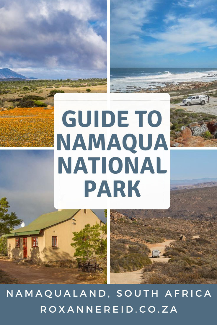 Visiting Namaqualand? Here’s everything you need to know about Namaqua National Park, including Namaqualand flowers, Namaqua National Park accommodation and camping, getting there and getting around, best time to visit. Find things to do like seeing the carpets of flowers in spring, quiver trees, beach camping in the coastal section, Caracal 4x4 Eco-Route, hiking trails, animals and local people.