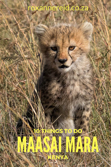 10 things to do at Mara Plains Camp in the Maasai Mara, Kenya