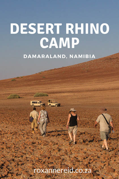 Desert Rhino Camp in Namibia's Damaraland is about more than tracking rhinos #Namibia #Africa #travel #safari