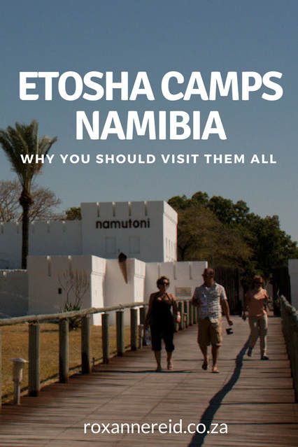 Why you should visit these three camps at Etosha National Park, Namibia #africa #safari #travel