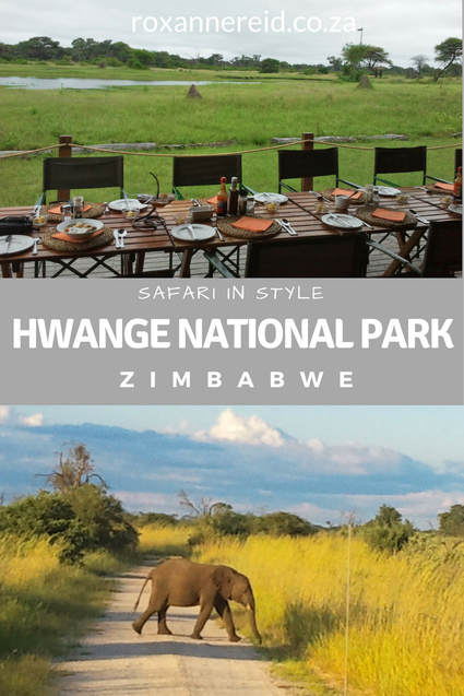Safari in style at Hwange National Park, Zimbabwe #africa #travel #safari
