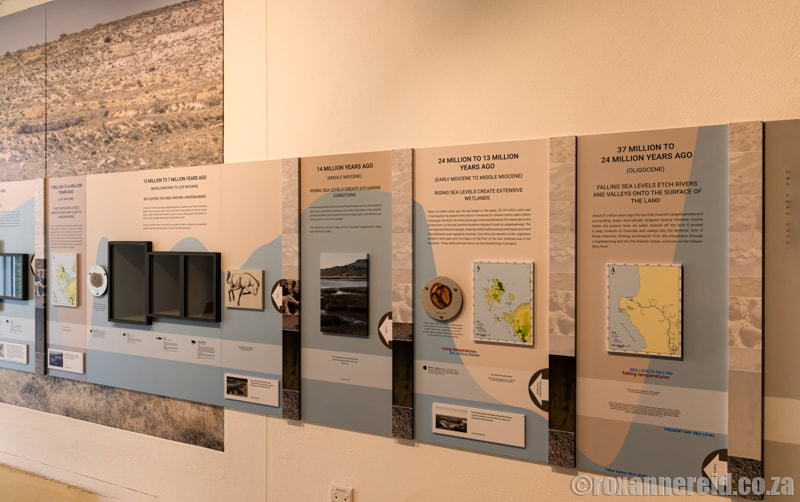 Information panels in the West Coast Fossil Park's museum