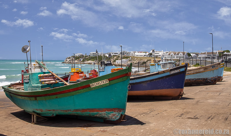 Things to do in Arniston: see the fishing boats in the harbour