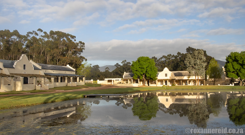 Tulbagh accommodation: the dam at Morgansvlei Country Estate