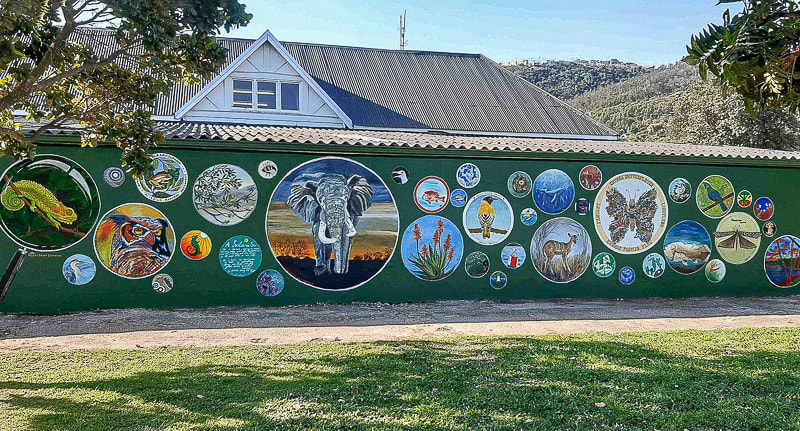 Knysna attractions: Circles in the Forest mural on the Knysna Art Route