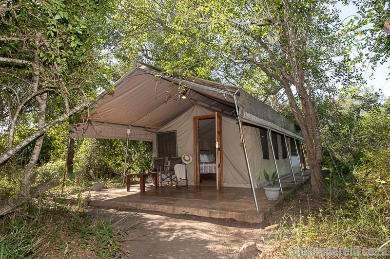 The glamping tents at Tembe Elephant Park lodge