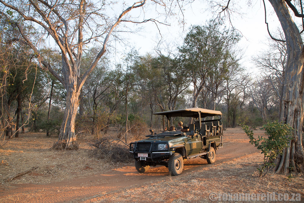Game drive, Greater Mana Expedition at Sapi and Mana Pools Zimbabwe