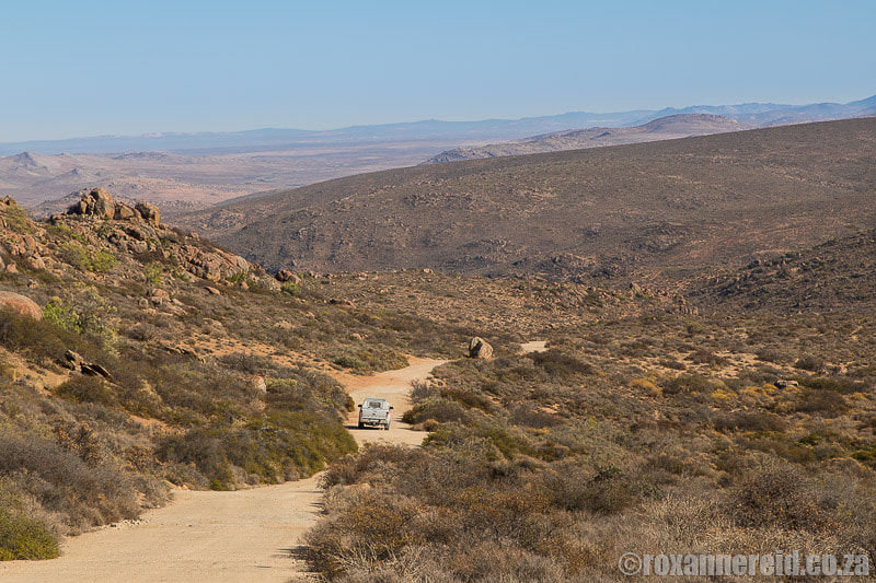 Caracal 4x4 Eco-Route in Namaqua National Park