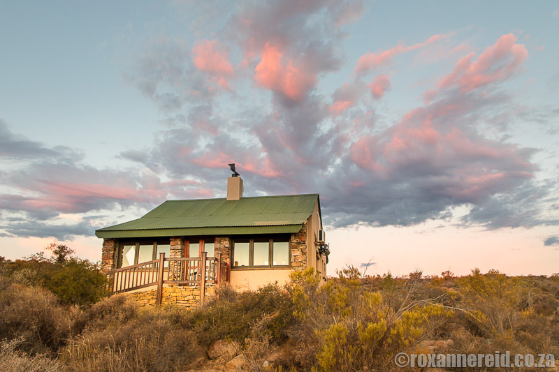 Namaqua National Park: everything you need to know