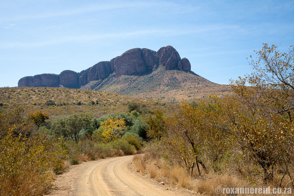 Waterberg mountains in Marakele National Park, Limpopo