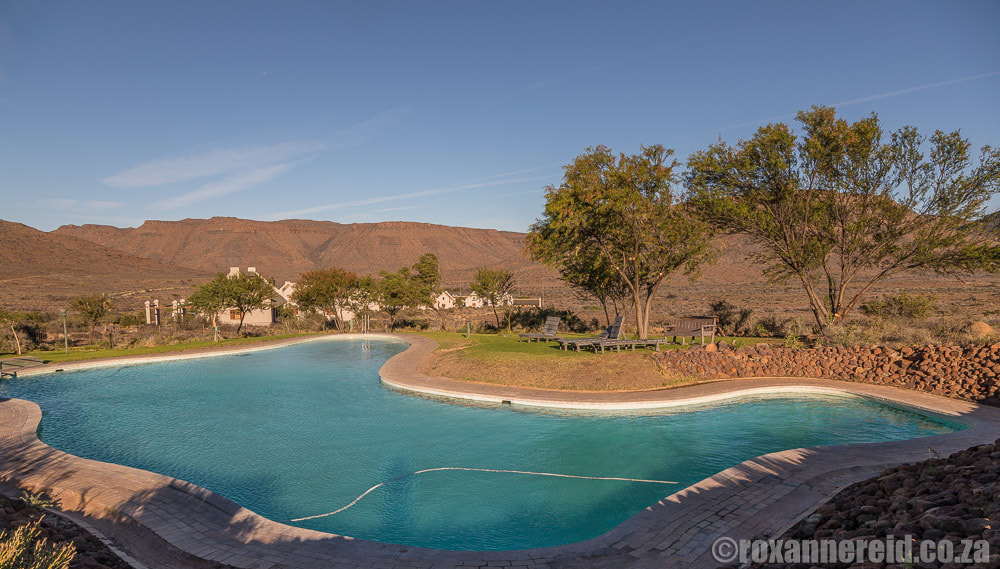 Swimming pool, main rest camp, Karoo National Park