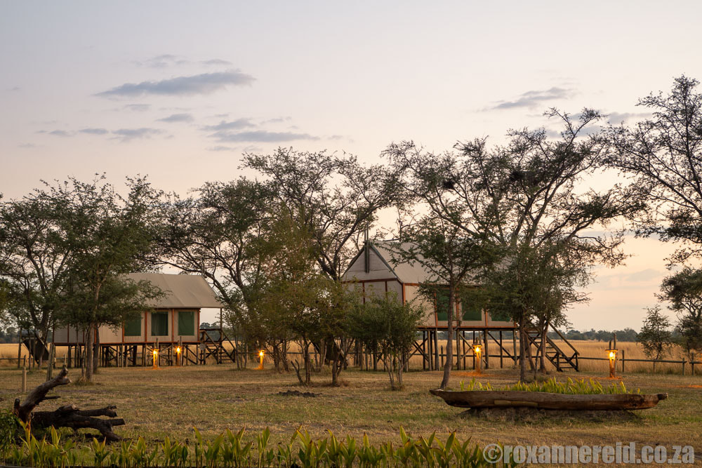 Chobe River Camp's tents look out over the Chobe River and Chobe National Park