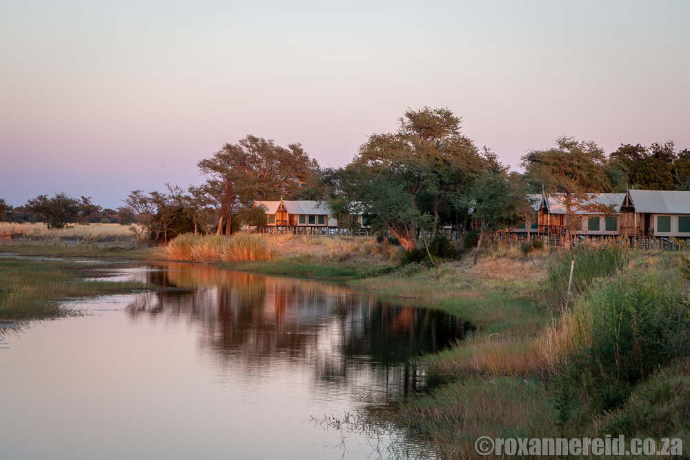 Go on a Chobe River cruise from Chobe River Camp on the Namibian side of the river