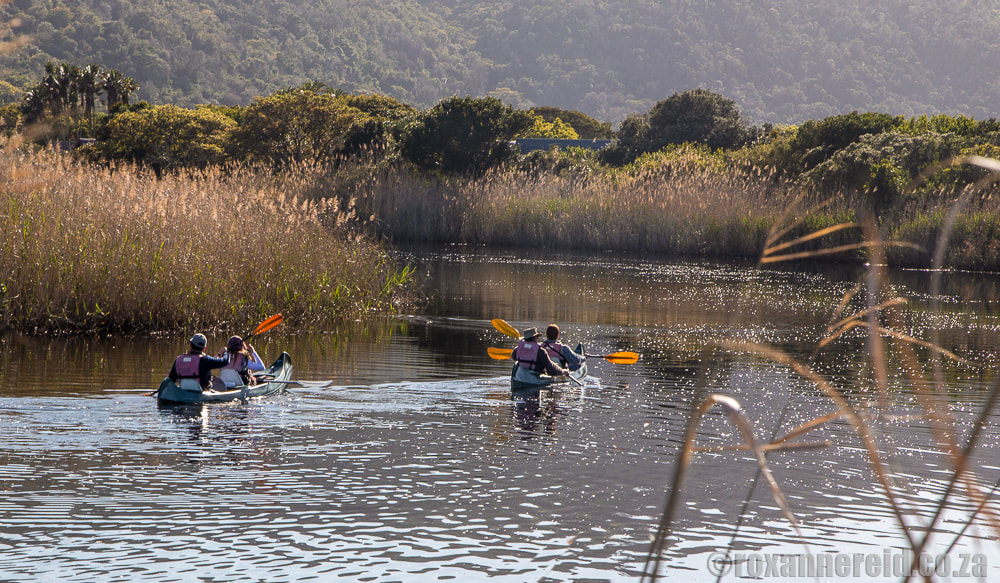 Things to do in Wilderness South Africa: paddle a canoe