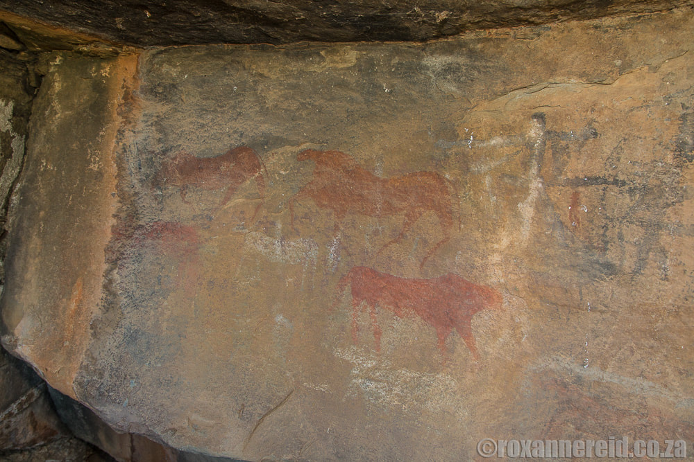 Bushman paintings  at Ganora, Nieu Bethesda