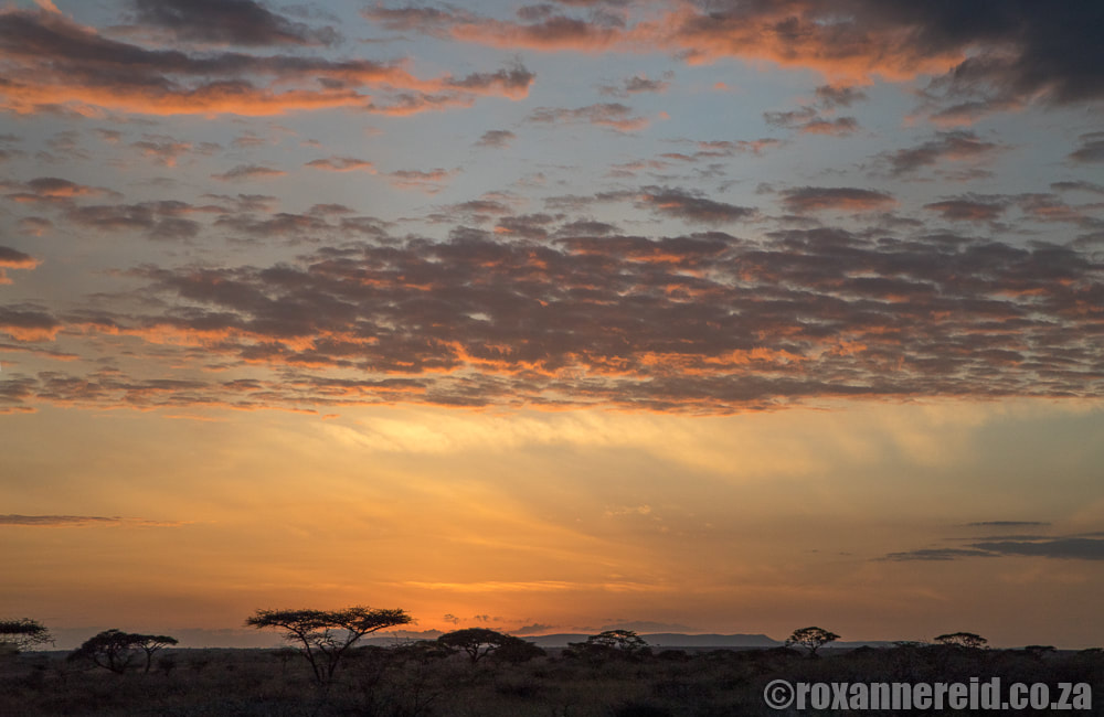 Sunset, Serengeti National Park, Tanzania