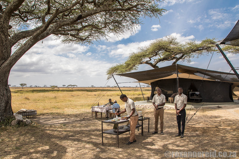 Look for camps that support responsible tourism in the Serengeti, Tanzania
