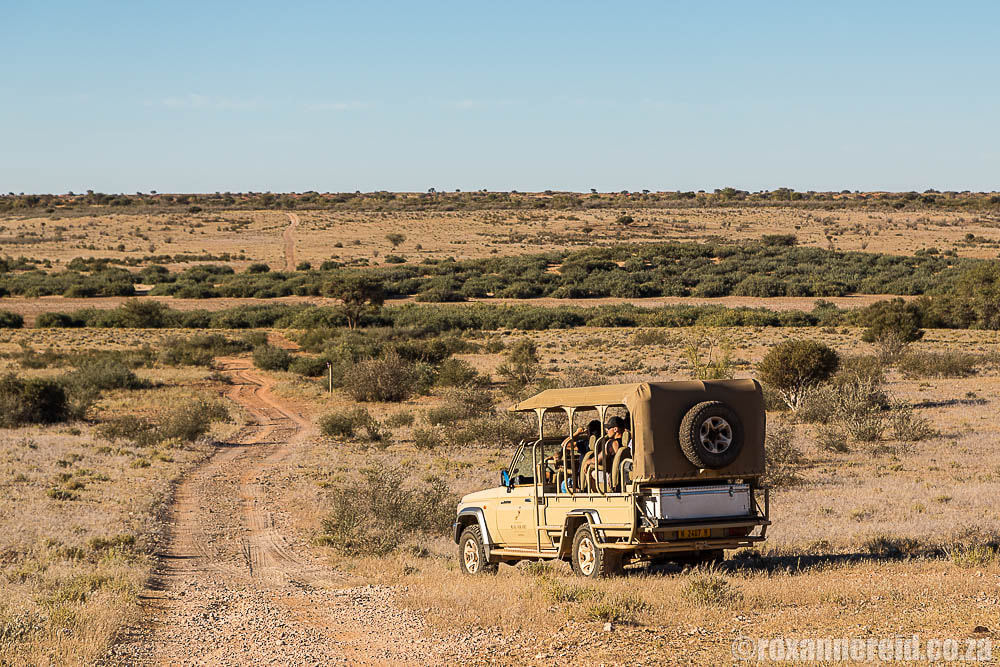 Nature Drive at Kalahari Anib Camping2Go
