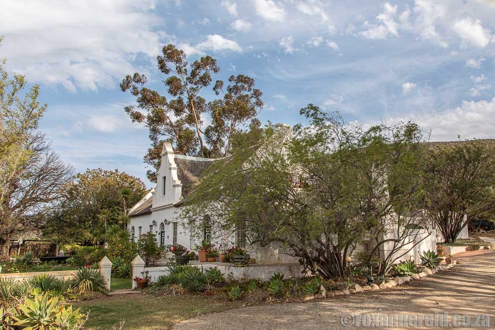 Manor house at Rhebokskraal Olive Estate, McGregor, South Africa